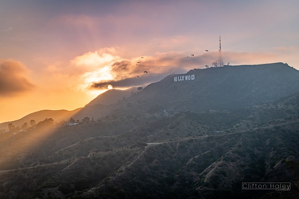 Hollywood Sign at Sunset - Home - Clifton Haley Photography  