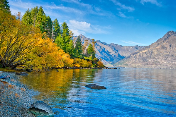 Fall colors on Lake - New Zealand - Kirit Vora Photography 