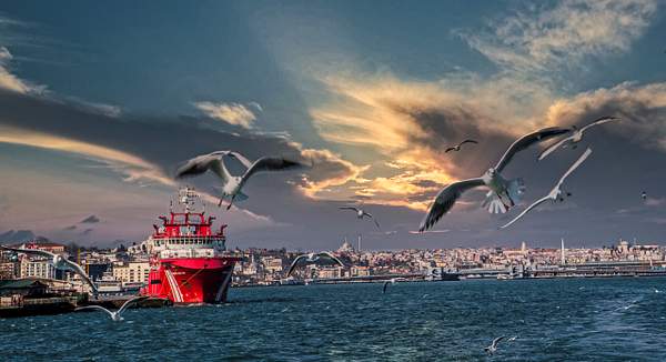 The Bosphorus, Istanbul by Arian Shkaki