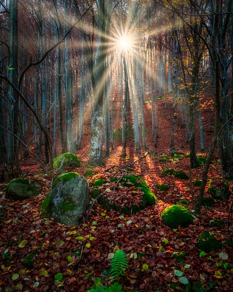 Mystic Lights - United Colours of Bulgaria - Arian Shkaki Photography