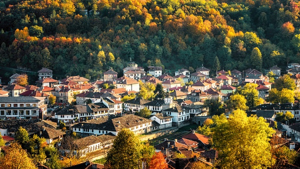Autumn Embrace - Rhodope Mountains, Bulgaria - Arian Shkaki Photography 