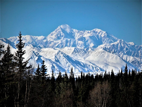 Mt Denali Alaska 2 - Alaskan Scenery - Graham Reichardt Photography 