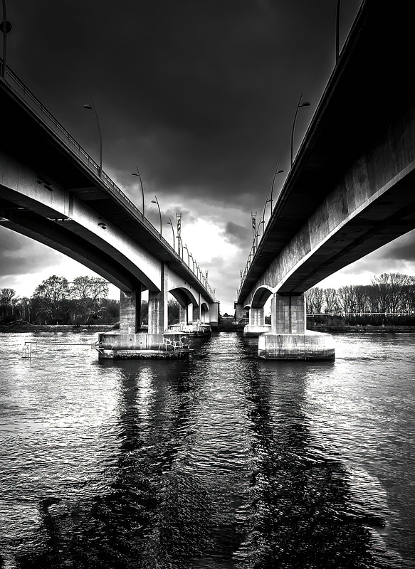 Rhine Bridge