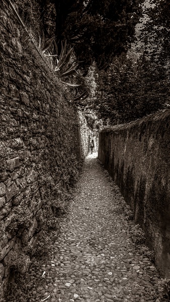 Path Less Traveled - Portfolio - Bren O'Malley Photography 