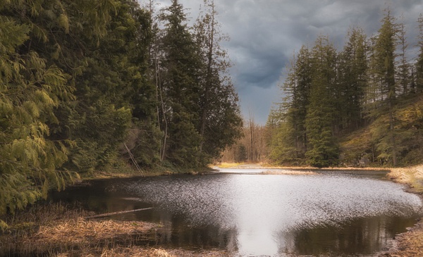Minnekhada Regional Park, Coquitlam, British Columbia - Landscape - McKinlay Photo 