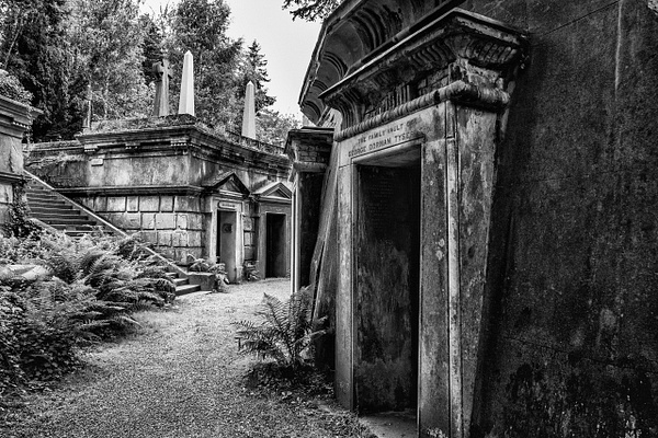 Circle of lebanon - Highate Cemetery 2 - Home - Andrew Newman Photography