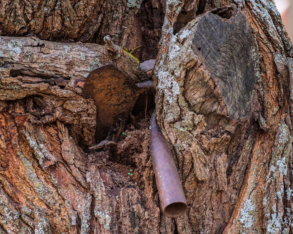 Hoe in a Tree
