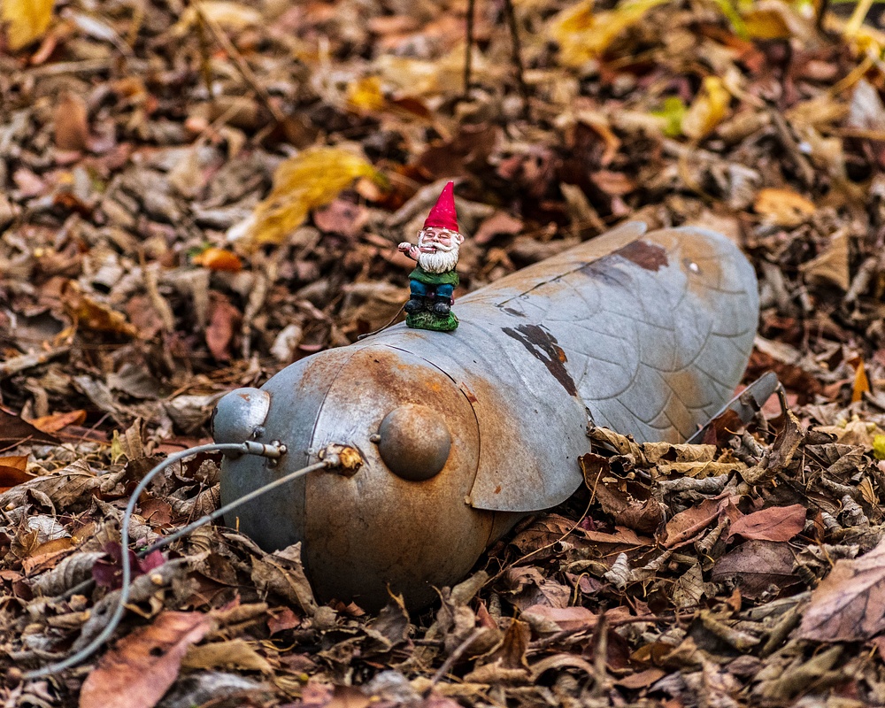 Gnome on a Roach