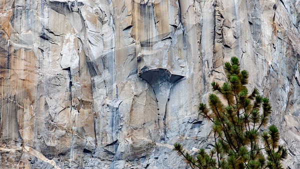 17. Yosemite N.P (8) El Capitan - U.S. NATIONAL PARKS - September 2015 - François Scheffen Photography
