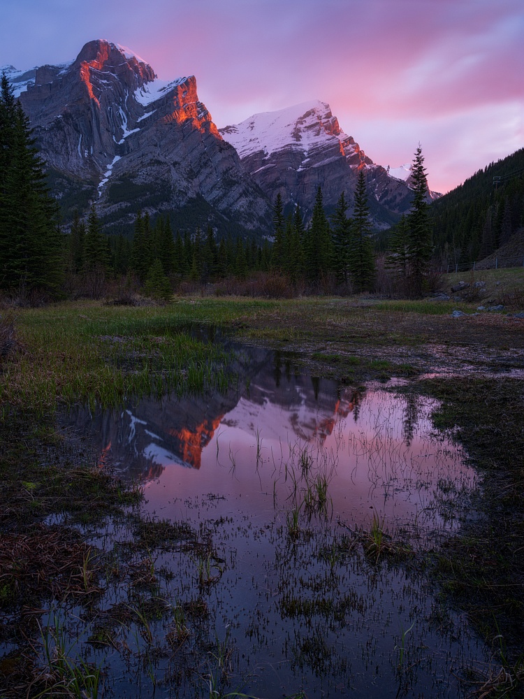 Pink Sunrise with reflection of Mount Kidd in Pond