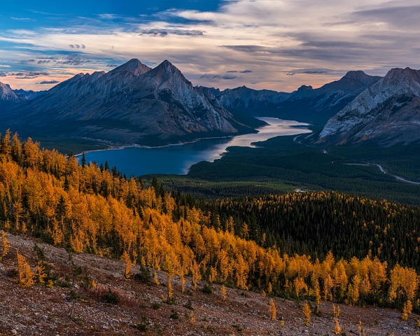 Fall Colors Larch Trees, Canmore, Alberta, Canada - Small Calgary Photography Classes, Learn Photography Calgary,  