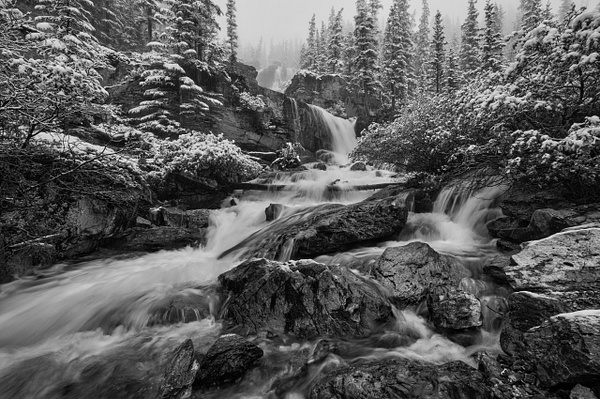 Black and White Summer Snow Storm Canadian Rockies - Home - Yves Gagnon Photography