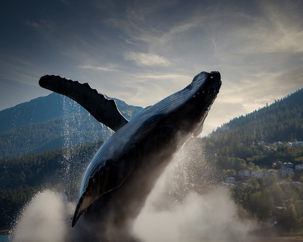 Whale-Monument-Juneau-Alaska - Home - Guy Riendeau Photography