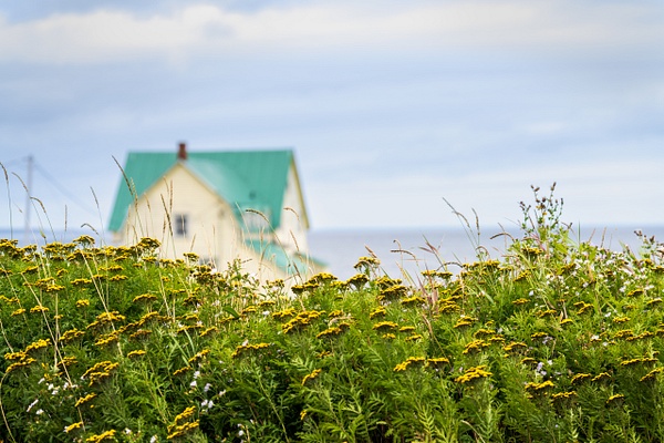Blue roof, Gaspe - Recent work - SLOANE SIKLOS PHOTOGRAPHY 