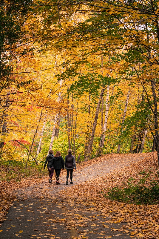 Walking through the Fall Leaves