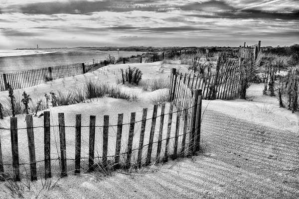 _DSC8320_HDR-sharpened - May 23-27, 2022: Cape May Spring - Tony Sweet