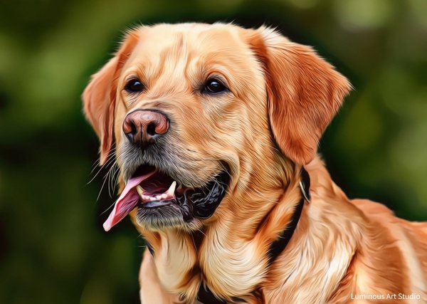 Golden-Retreiver-Dog-Art-007 - Pet Illustrations - LuminousLight