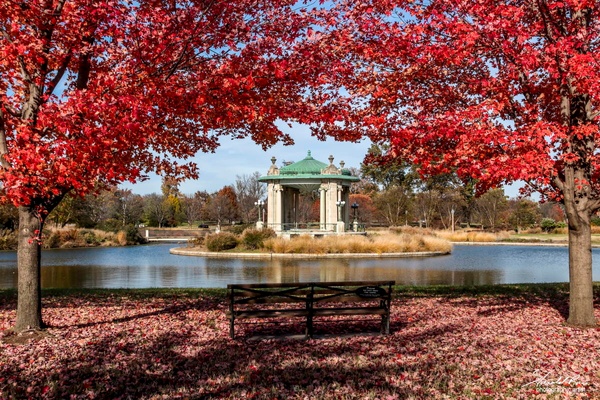 Fall at Forest Park - St Louis, Missouri - Home - Harold Rau