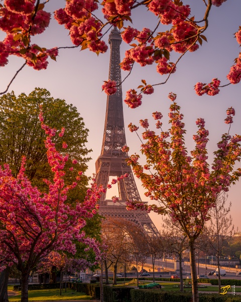 Eiffel Tower in Spring, Paris, 2021 - Urban Photos ̵ Thomas Speck Photography 